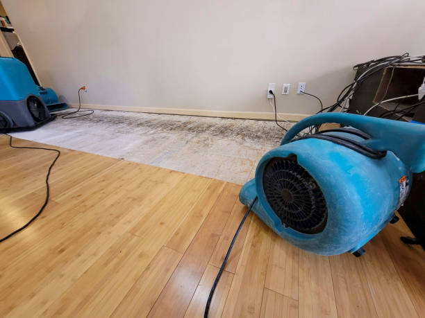 Professional Flood Damage Cleanup technician working in Eads, TN